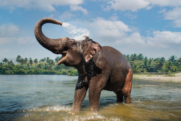 Kerala