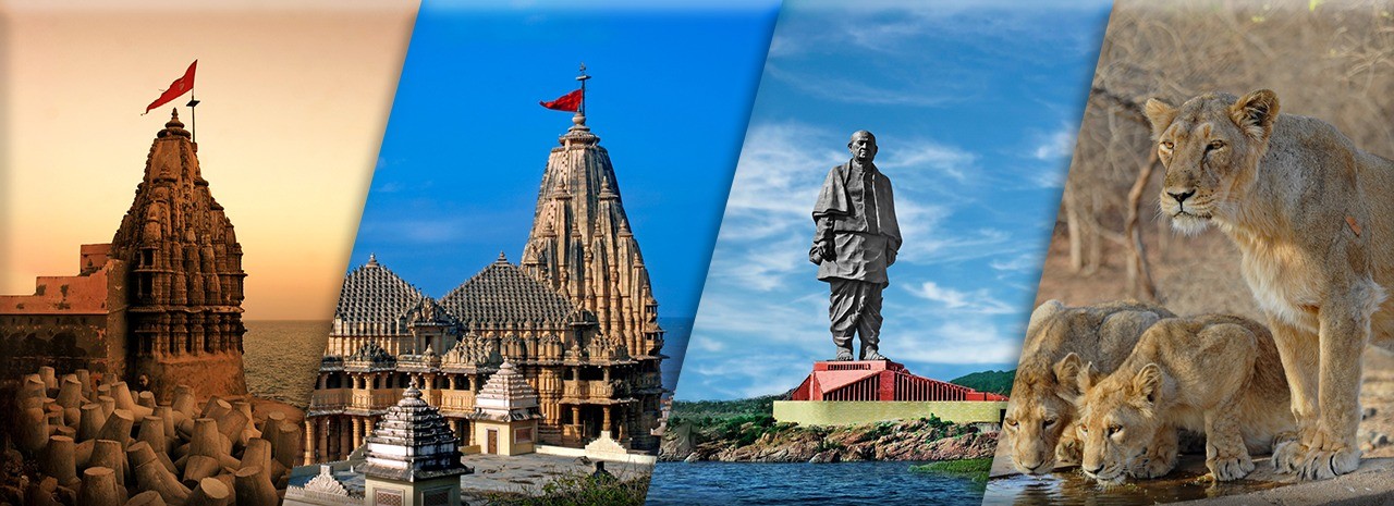 7 Days Gujarat Heritage & Wildlife Tour